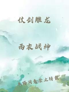仗剑雕龙