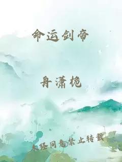命运剑帝