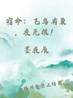 宿命:飞鸟有巢,夜无根!