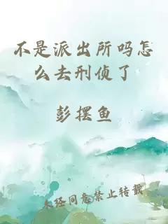 不是派出所吗怎么去刑侦了